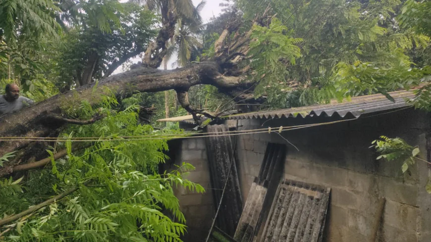 ವ್ಯಾಪಕ ಮಳೆ:ಆಗಸ್ಟ್ ತಿಂಗಳ ಆತಂಕದಲ್ಲಿ ಕೊಡಗು.