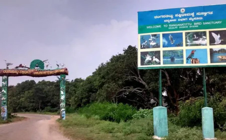 ರಂಗನತಿಟ್ಟು ಪಕ್ಷಿಧಾಮದ ಪ್ರವೇಶ-ದೋಣಿ ವಿಹಾರ ಶುಲ್ಕ ಹೆಚ್ಚಳ.