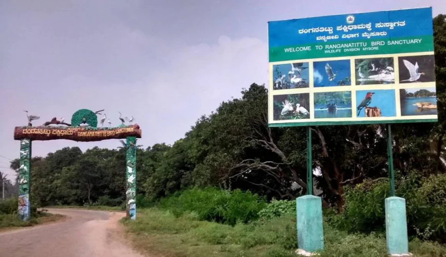 ರಂಗನತಿಟ್ಟು ಪಕ್ಷಿಧಾಮದ ಪ್ರವೇಶ-ದೋಣಿ ವಿಹಾರ ಶುಲ್ಕ ಹೆಚ್ಚಳ.