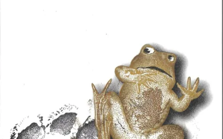 ಸೆರೆಯಲ್ಲಿ ಕಳೆದ ಹದಿನಾಲ್ಕು ದಿನಗಳು